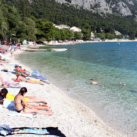 Guest house And With Parking Space Gradac, Makarska - 6819